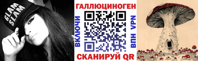 Галлюциногенные грибы Cubensis  Купить где  Кореновск 